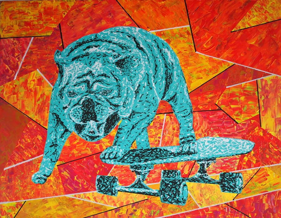 Hund auf Skateboard